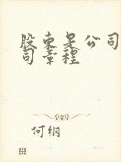 股东是公司的公司章程