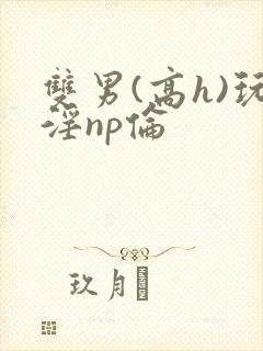 双男(高h)玩淫np伦