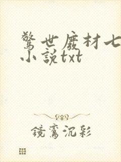 惊世废材七小姐小说txt