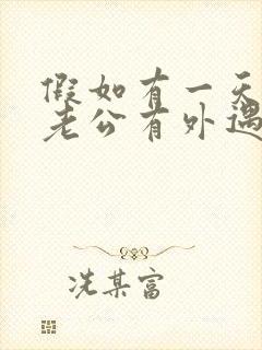 假如有一天发现老公有外遇老婆怎么办封面