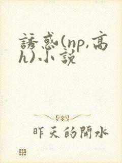 诱惑(np,高h)小说