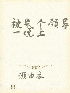 被几个领导玩弄一晚上