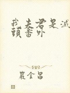 我夫君是灭世魔头番外