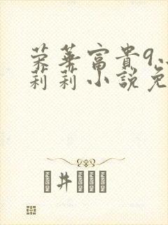 荣华富贵9小王莉莉小说免费阅读封面