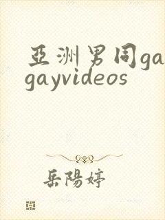 亚洲男同gaygayvideos