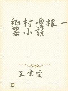 乡村傻根一大凶器小说封面