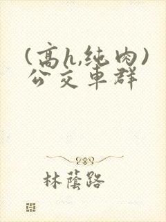 (高h,纯肉)公交车群