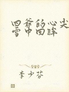 四爷的心尖宠妃雪中回眸封面