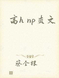 高h np爽文