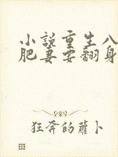 小说重生八零:肥妻要翻身免费阅读全本