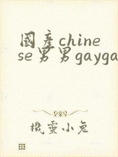 国产chinese男男gaygay网站xnxx