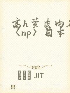 高h荤爽肉欲文〈np〉日本