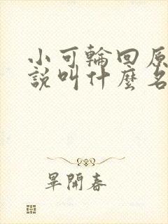 小可轮回原著小说叫什么名字