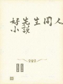 好先生同人改编小说