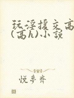 玩淫援交高中生(高h)小说