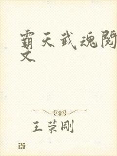 霸天武魂阅读全文