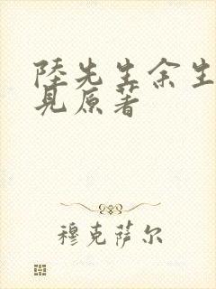 陆先生余生不再见原著
