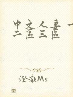 中文人妻 一区二区三区