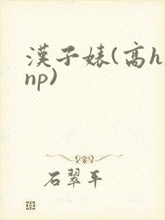 汉子婊(高h,np)
