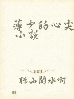 薄少的心尖宠儿 小说