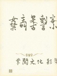 女主是刺客被囚禁叫古言小说