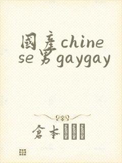 国产chinese男gaygay