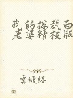 我的总裁白富美老婆精校版全本txt