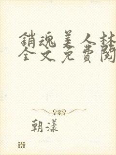 销魂美人林婷婉全文免费阅读小说