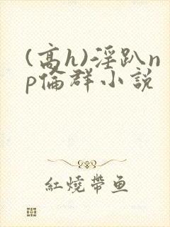 (高h)淫趴np伦群小说