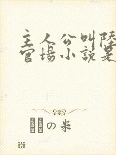 主人公叫陆涛的官场小说是什么名字