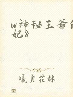 w神秘王爷的爱妃》