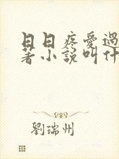 日日疼爱过头原著小说叫什么名字