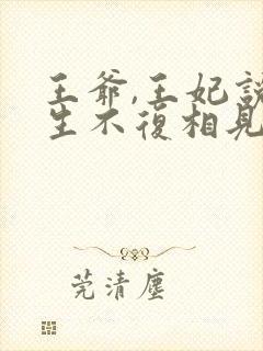 王爷,王妃说此生不复相见小说封面