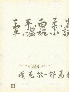 王平,白柔,肖军,温婉小说