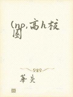(np,高h校园