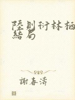 陆则衍林栖后续结局