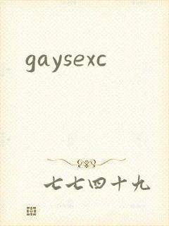 gaysexc