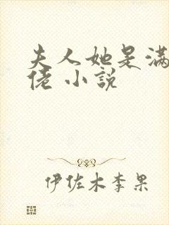 夫人她是满级大佬 小说