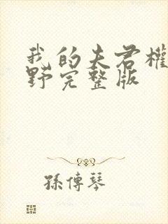我的夫君权倾朝野完整版封面