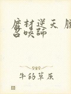 废材逆天 腹黑召唤师封面