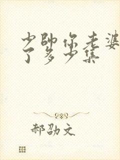 少帅你老婆又跑了多少集