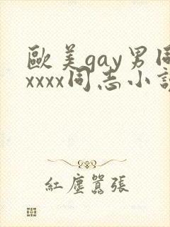 欧美gay男同xxxx同志小说