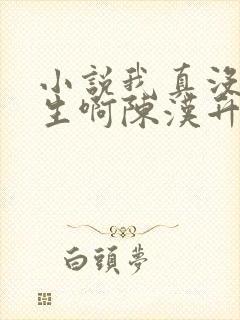 小说我真没想重生啊陈汉升