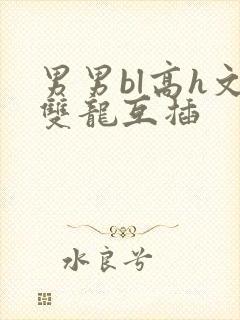 男男bl高h文双龙互插封面