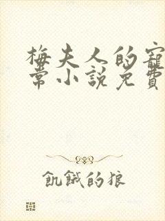 梅夫人的宠夫日常小说免费阅读封面