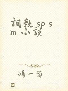 调教 sp sm 小说