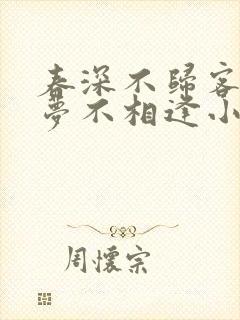 春深不归客,清梦不相逢小说免费阅读封面