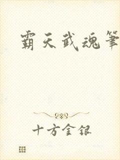 霸天武魂笔趣阁