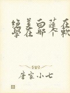 绝美白莲在线教学在哪个软件看小说