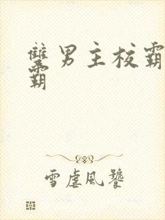 双男主校霸和学霸